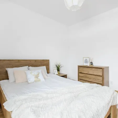 Goldaparts Gdanska 公寓 罗兹